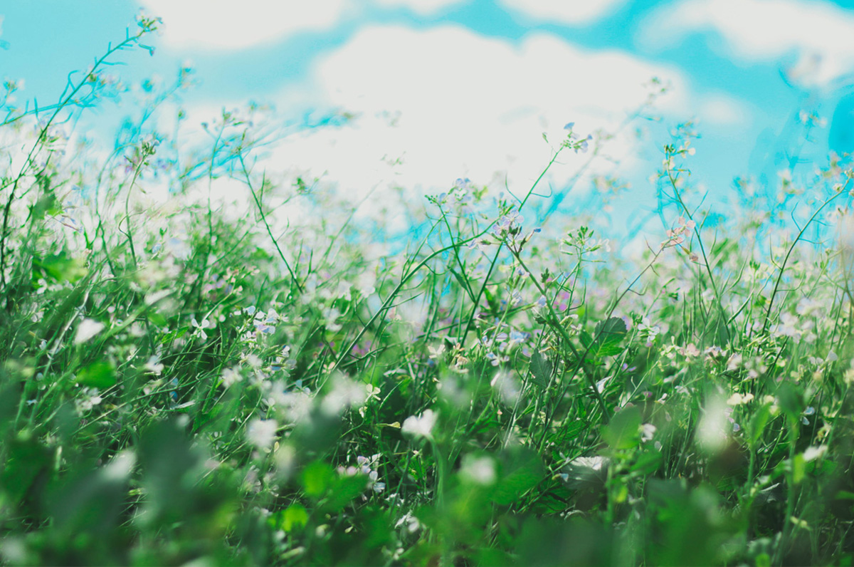 health-center-hudson-yards-seasonal-allergies-blog
