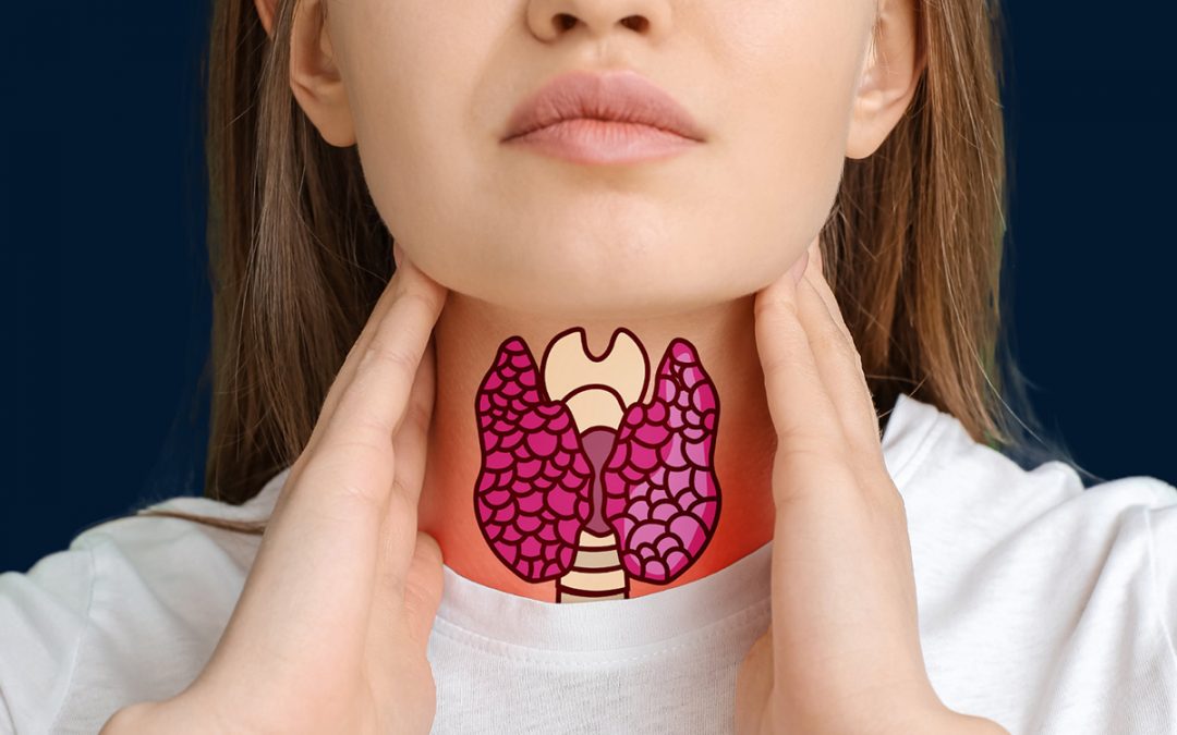 Understanding Your Thyroid