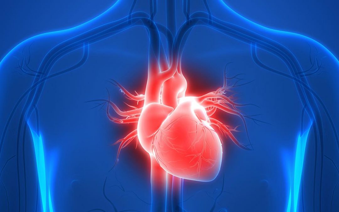A Healthy Heart—Where to Start?