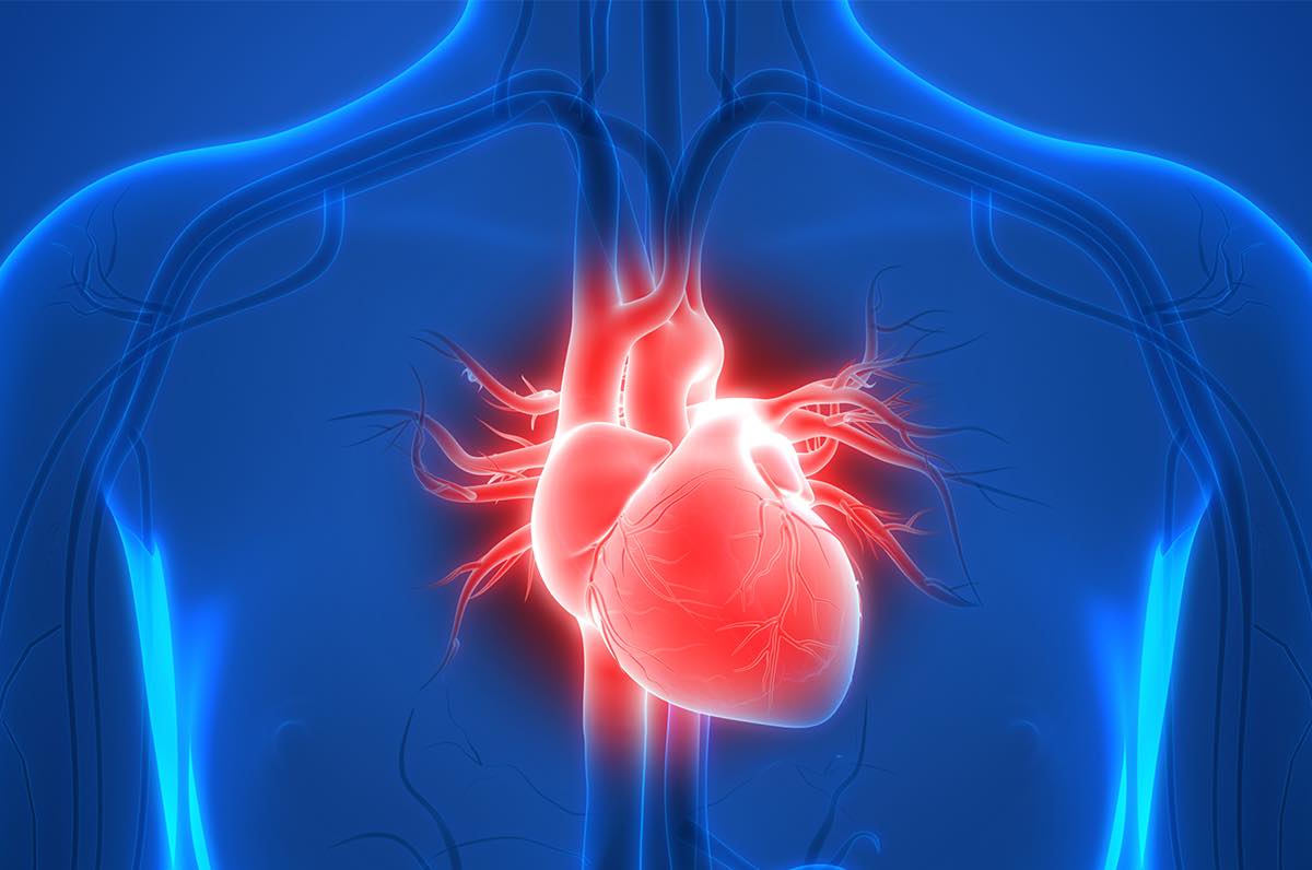 Heart health feb copy
